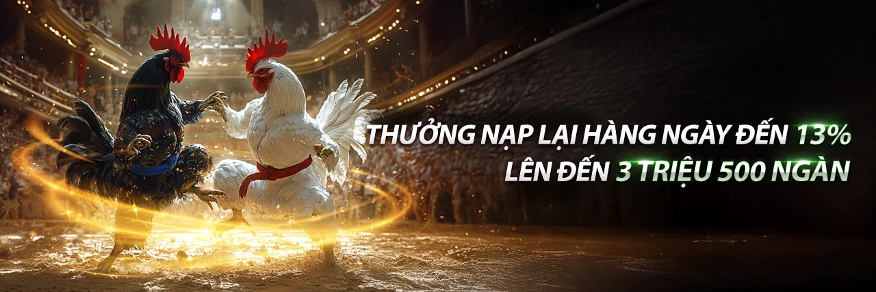 Chương trình VIP betvisa link